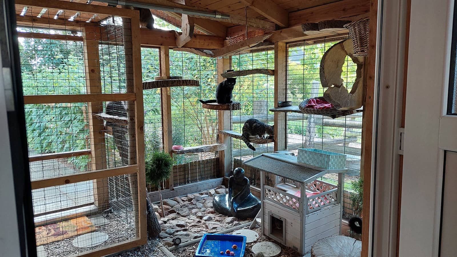 Entspannte Katze im gemütlichen Innenbereich der Pension