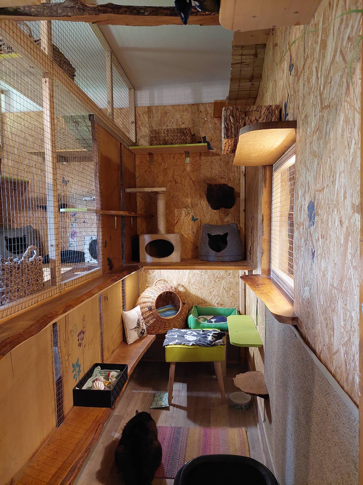 Ruhige Ecke mit Körbchen und weichen Decken